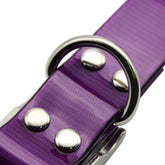 TAILTRAIL Dirt-Resistant Adjustable Dog Collar