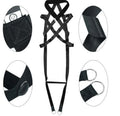 TAILTRAIL Dog Training Leash and Chest Harness Set