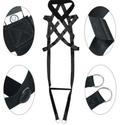 TAILTRAIL Dog Training Leash and Chest Harness Set