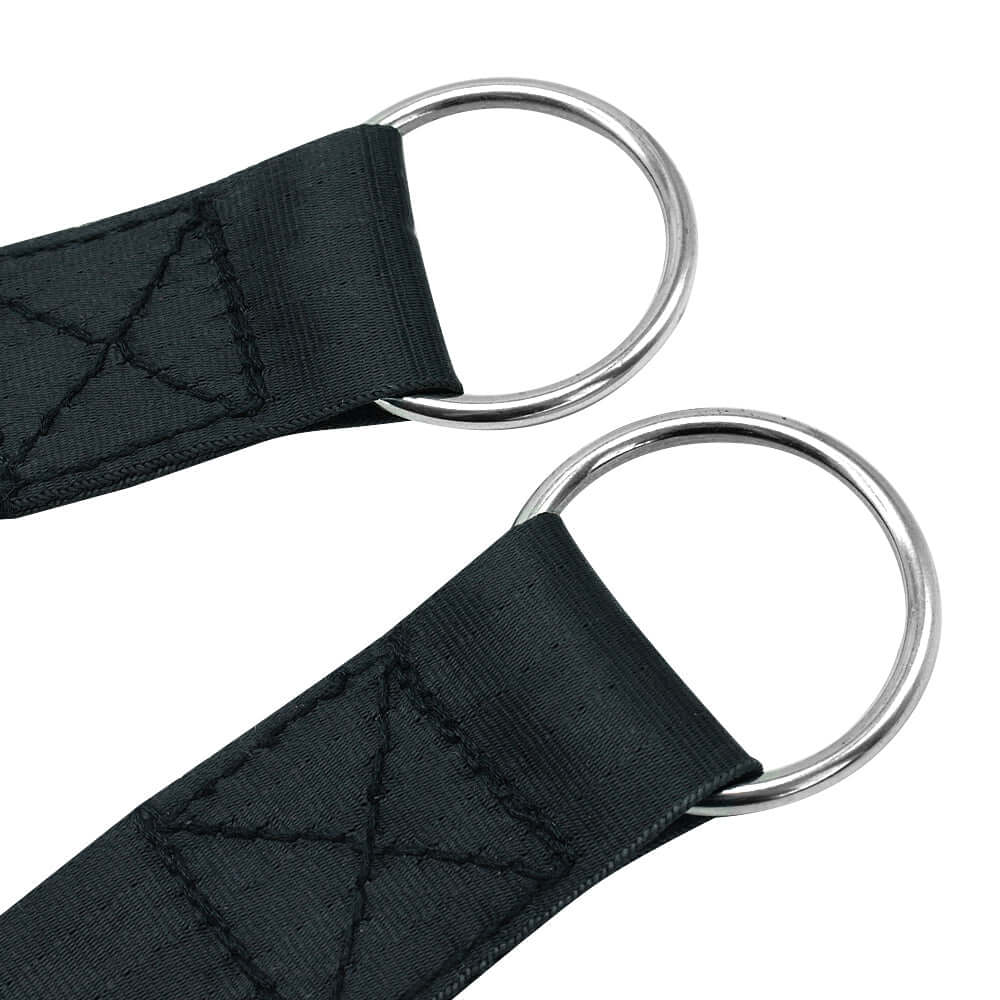 TAILTRAIL Dog Training Leash and Chest Harness Set
