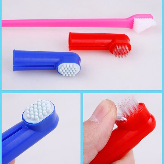 TAILTRAIL Double Head Pet Toothbrush Finger Brush Dental Care Set