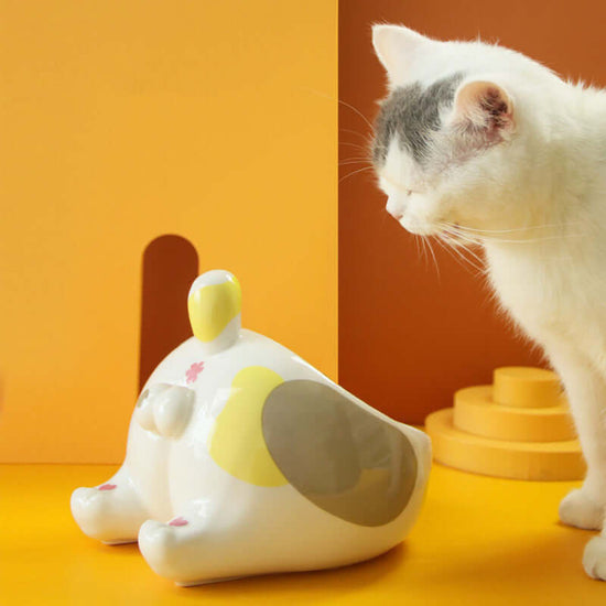 TAILTRAIL Elevated Ceramic Pet Food and Water Bowl