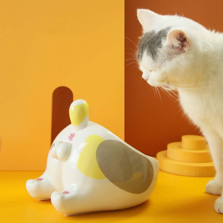 TAILTRAIL Elevated Ceramic Pet Food and Water Bowl