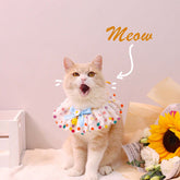 TAILTRAIL Fashion Pet Collar Bib Photo Accessories for Cats Dogs