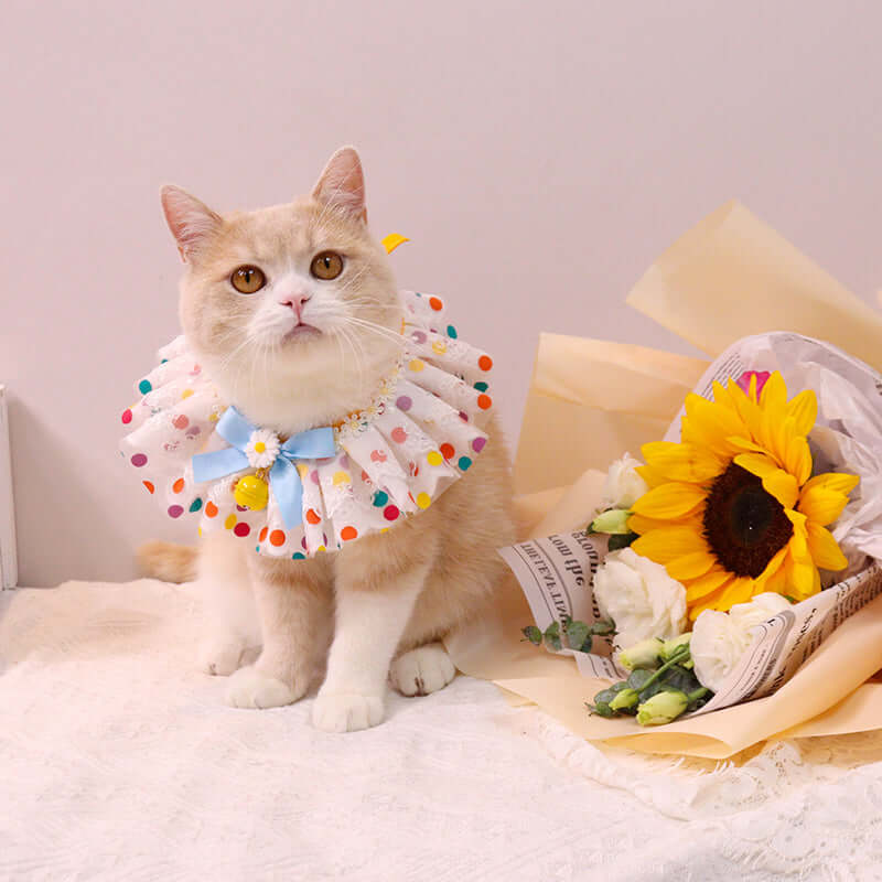TAILTRAIL Fashion Pet Collar Bib Photo Accessories for Cats Dogs