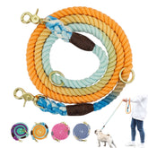 TAILTRAIL Gradient Dog Collar and Rope Leash Set