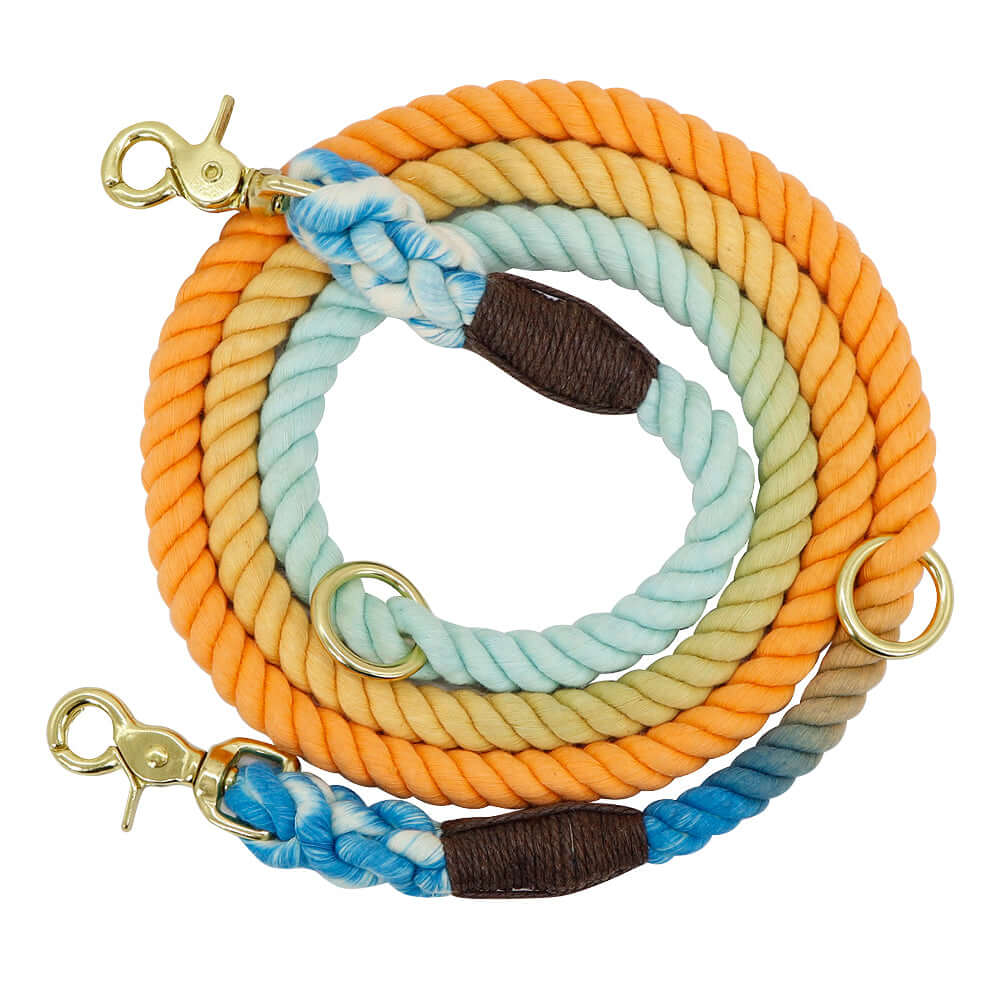 TAILTRAIL Gradient Dog Collar and Rope Leash Set