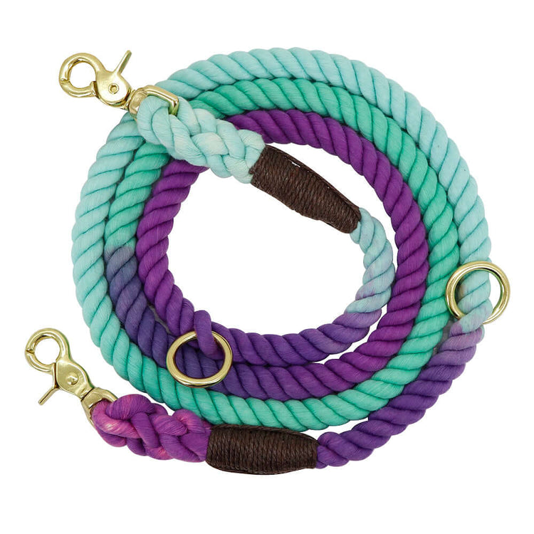 TAILTRAIL Gradient Dog Collar and Rope Leash Set