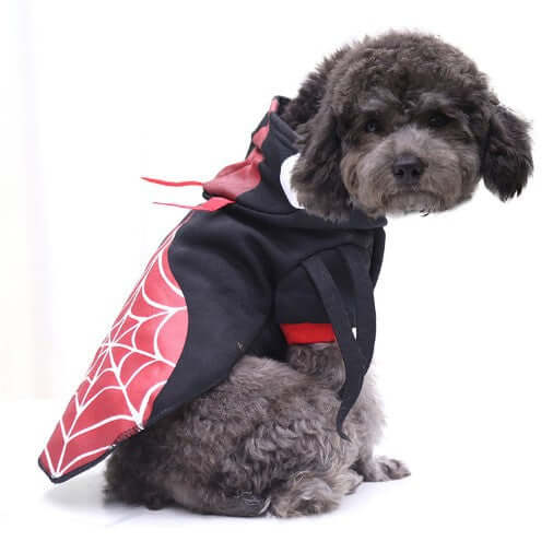 TAILTRAIL Halloween Pet Skull Horror Costume Accessory for Cats Dogs
