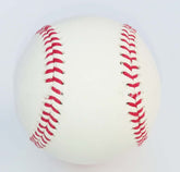 TAILTRAIL Hard Safety Baseball Solid Dog Training Ball