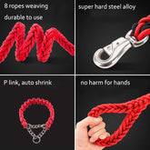 TAILTRAIL Heavy-Duty Nylon Dog Collar and Leash Set