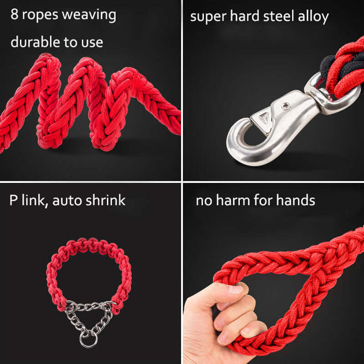TAILTRAIL Heavy-Duty Nylon Dog Collar and Leash Set