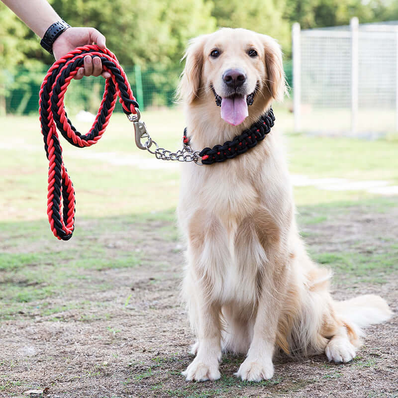 TAILTRAIL Heavy-Duty Nylon Dog Collar and Leash Set