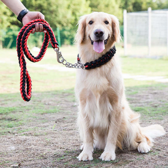 TAILTRAIL Heavy-Duty Nylon Dog Collar and Leash Set