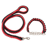TAILTRAIL Heavy-Duty Nylon Dog Collar and Leash Set