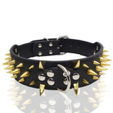 TAILTRAIL Heavy-Duty Rivet Bite-Resistant Dog Collar