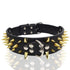 TAILTRAIL Heavy-Duty Rivet Bite-Resistant Dog Collar