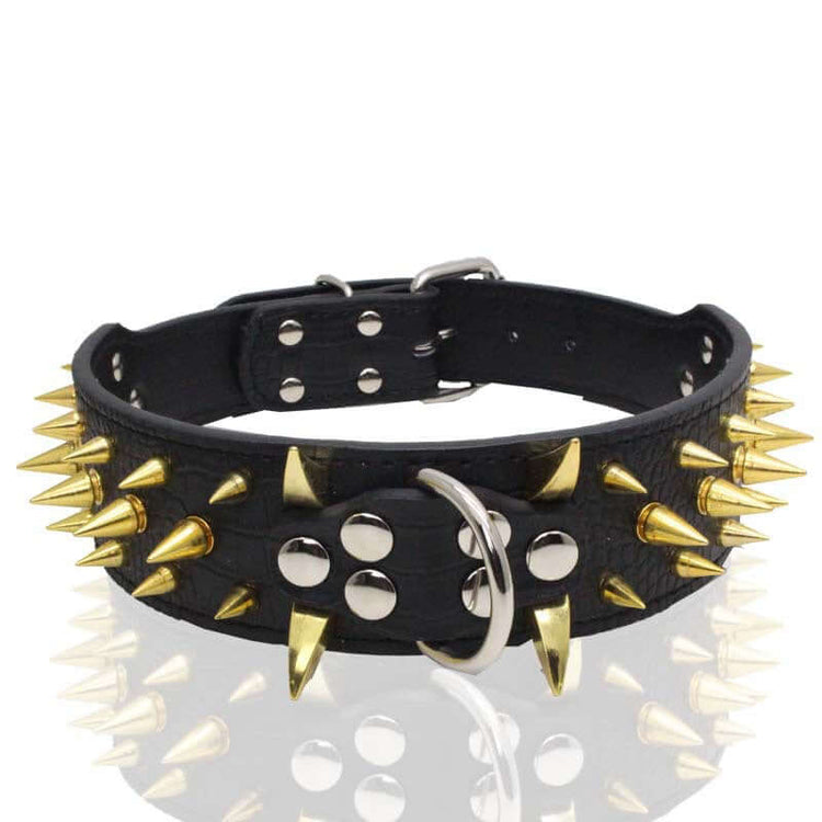 TAILTRAIL Heavy-Duty Rivet Bite-Resistant Dog Collar