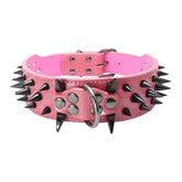 TAILTRAIL Heavy-Duty Rivet Bite-Resistant Dog Collar