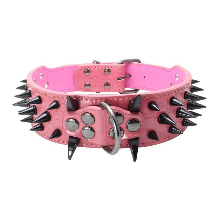 TAILTRAIL Heavy-Duty Rivet Bite-Resistant Dog Collar