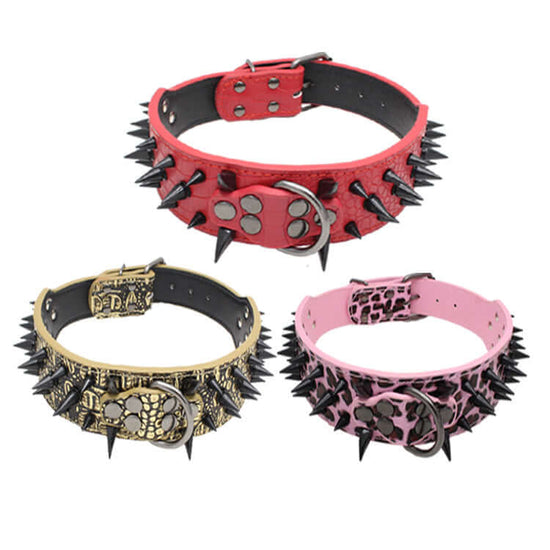 TAILTRAIL Heavy-Duty Rivet Bite-Resistant Dog Collar