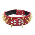 TAILTRAIL Heavy-Duty Rivet Bite-Resistant Dog Collar