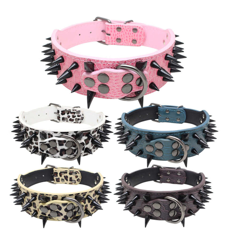 TAILTRAIL Heavy-Duty Rivet Bite-Resistant Dog Collar