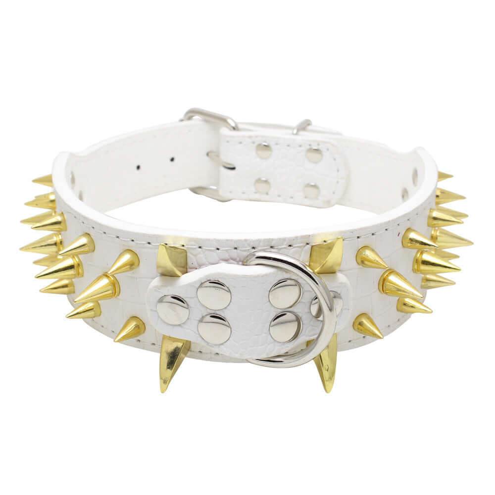 TAILTRAIL Heavy-Duty Rivet Bite-Resistant Dog Collar