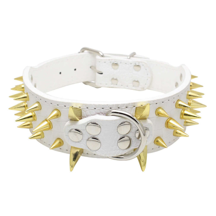 TAILTRAIL Heavy-Duty Rivet Bite-Resistant Dog Collar