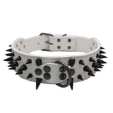 TAILTRAIL Heavy-Duty Rivet Bite-Resistant Dog Collar