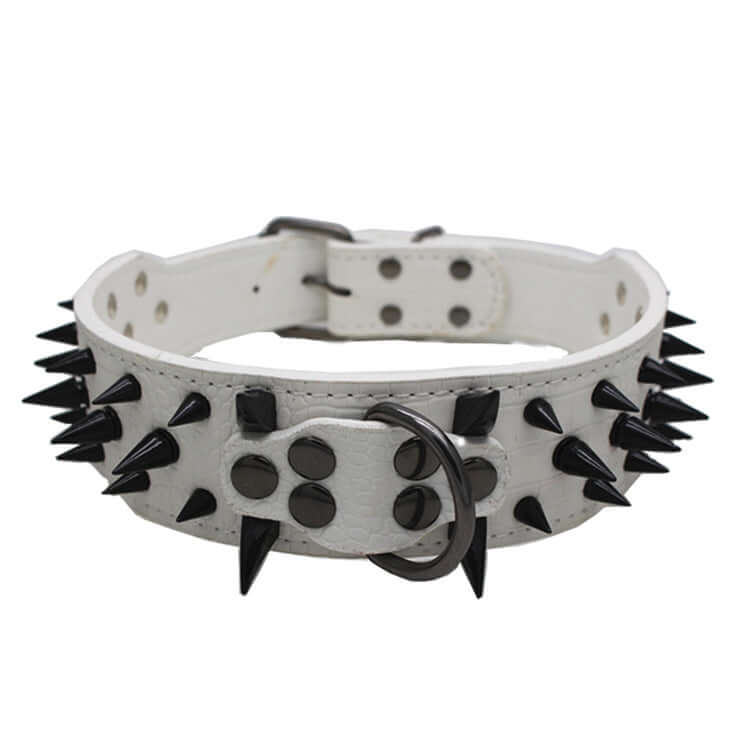 TAILTRAIL Heavy-Duty Rivet Bite-Resistant Dog Collar