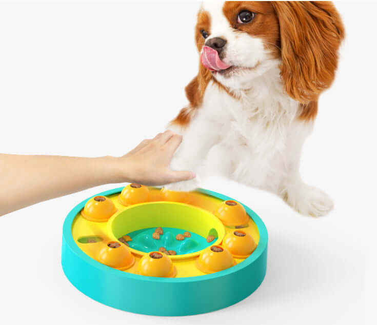 TAILTRAIL Interactive Slow Feeder Puzzle Bowl for Dogs
