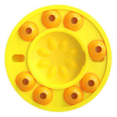 TAILTRAIL Interactive Slow Feeder Puzzle Bowl for Dogs