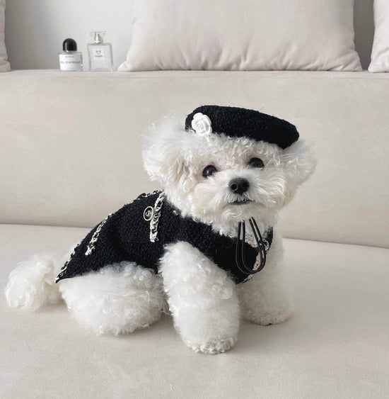 TAILTRAIL Pet Dog Cat Knitted Hat Winter Warm Accessories
