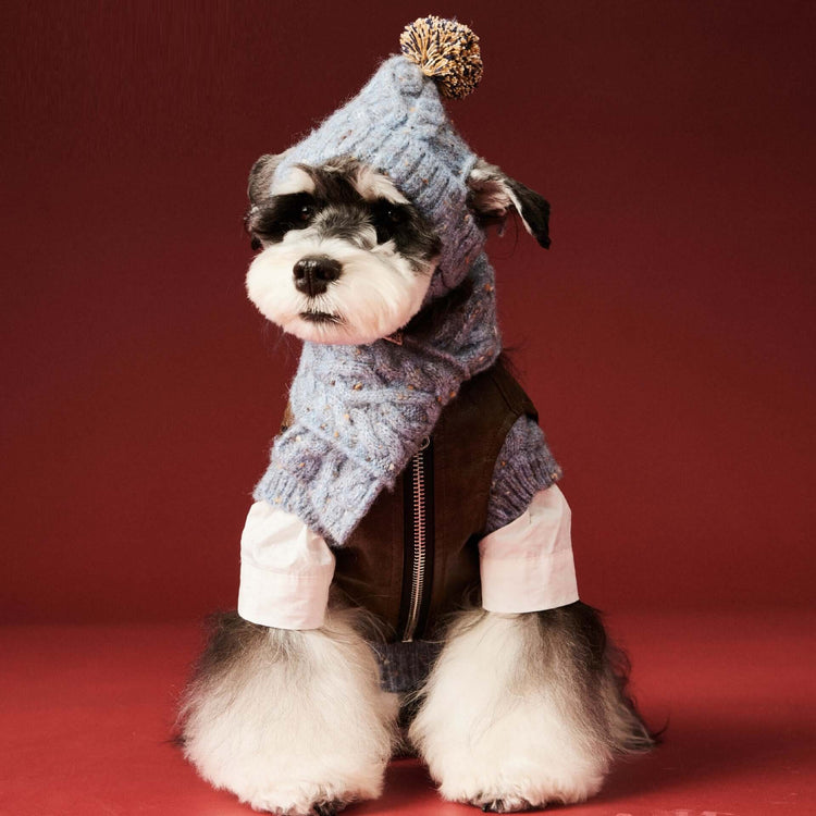 TAILTRAIL Pet Dog Wool Hat and Scarf Winter Accessory Set