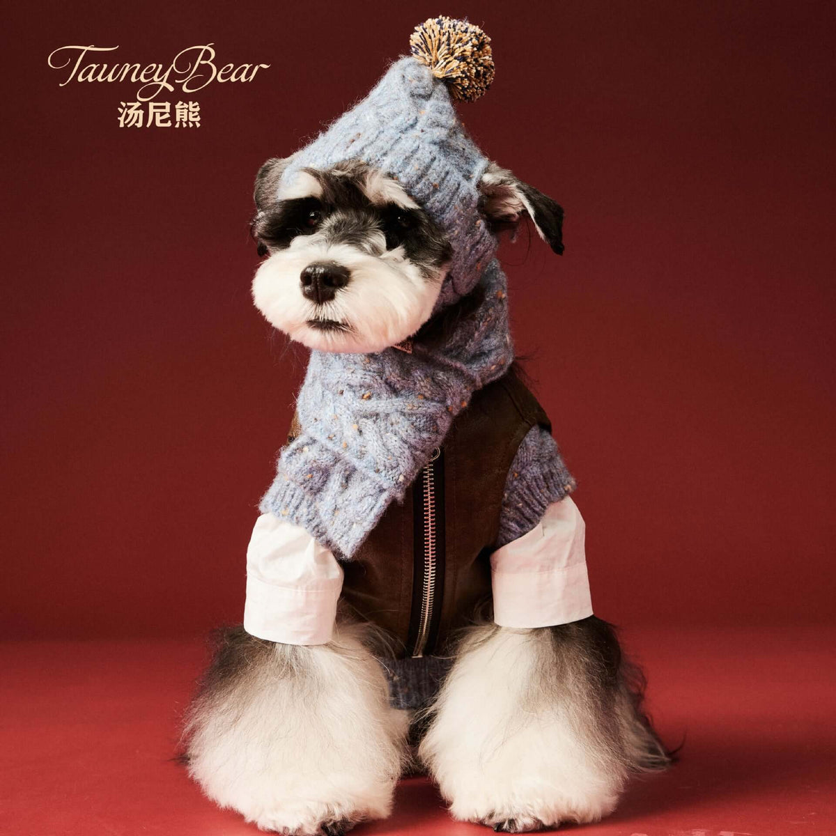 TAILTRAIL Pet Dog Wool Hat and Scarf Winter Accessory Set