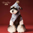TAILTRAIL Pet Dog Wool Hat and Scarf Winter Accessory Set