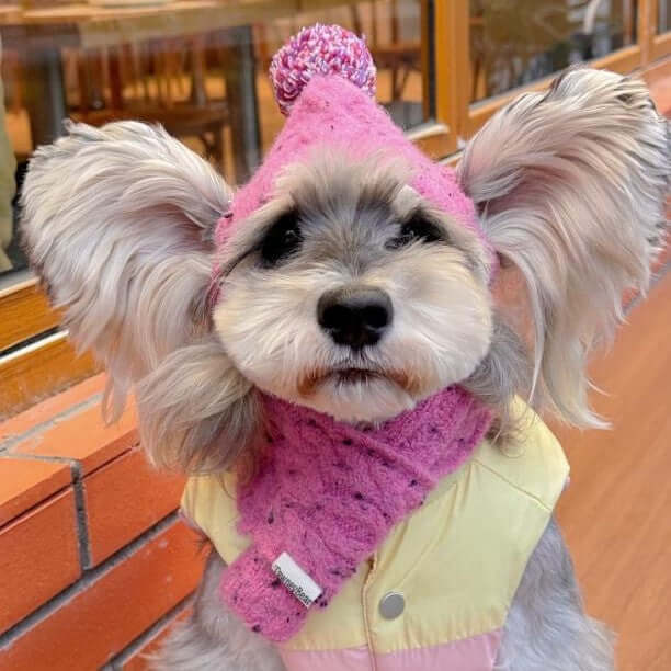 TAILTRAIL Pet Dog Wool Hat and Scarf Winter Accessory Set