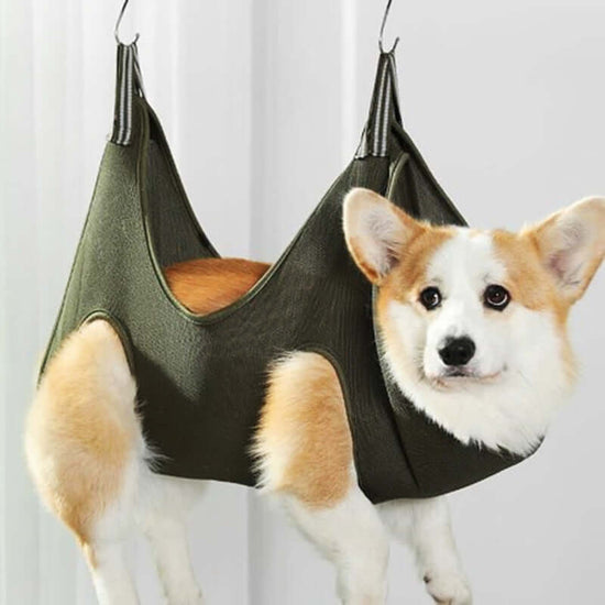TAILTRAIL Pet Grooming Hammock Harness for Cats and Dogs