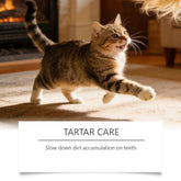 TAILTRAIL Pet Oral Care Spray for Dogs & Cats