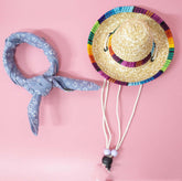 TAILTRAIL Pet Summer Outing Set Accessories Kit for Dogs Cats