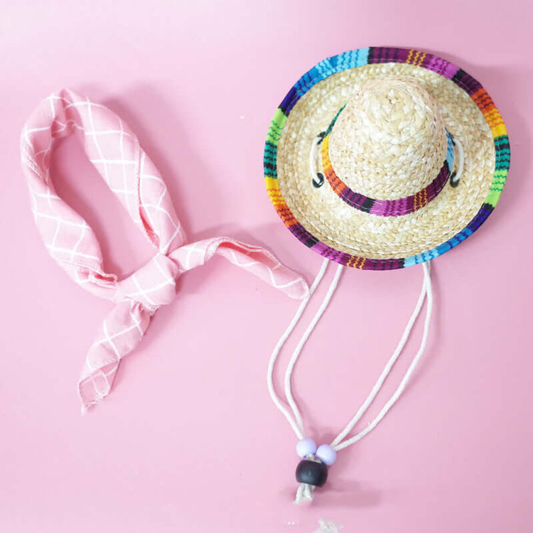 TAILTRAIL Pet Summer Outing Set Accessories Kit for Dogs Cats