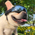TAILTRAIL Pet Sunglasses Dog Windproof Goggles Eye Protection