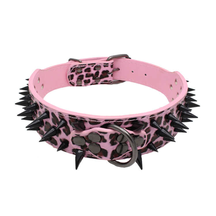 TAILTRAIL Heavy-Duty Rivet Bite-Resistant Dog Collar