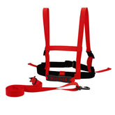 TAILTRAIL Safety Rope Ski Dog Training Belt and Leash in red, ideal for outdoor activities and training.
