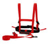 TAILTRAIL Safety Rope Ski Dog Training Belt and Leash in red, ideal for outdoor activities and training.