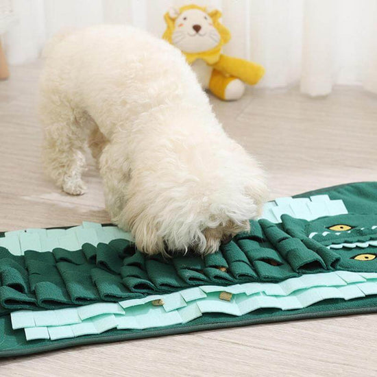 TAILTRAIL Slow Feed Training Pad for Dogs and Cats