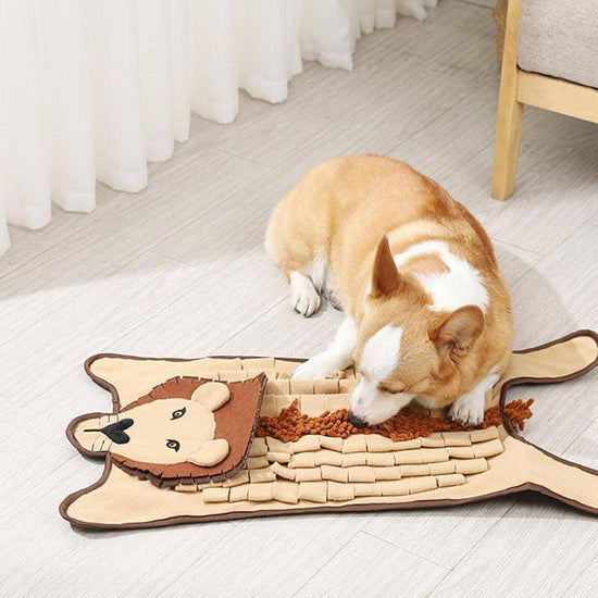 TAILTRAIL Slow Feed Training Pad for Dogs and Cats