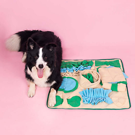 TAILTRAIL Snuffle Mat Nosework Feeding Puzzle for Dogs and Cats