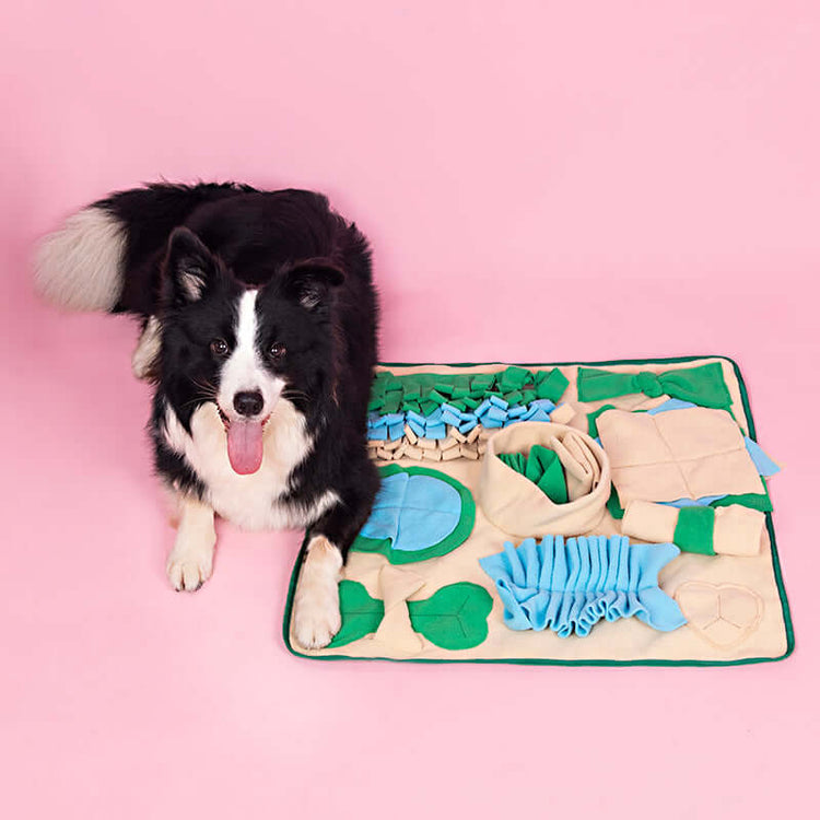 TAILTRAIL Snuffle Mat Nosework Feeding Puzzle for Dogs and Cats